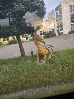 IMG_20240702_063455509.jpg
