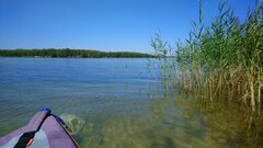 DSC_0463.JPG