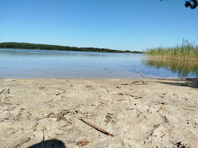 sosnowieck