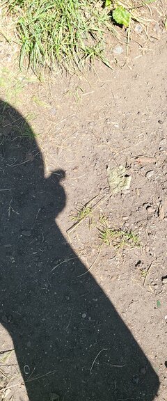 1000007021.jpg