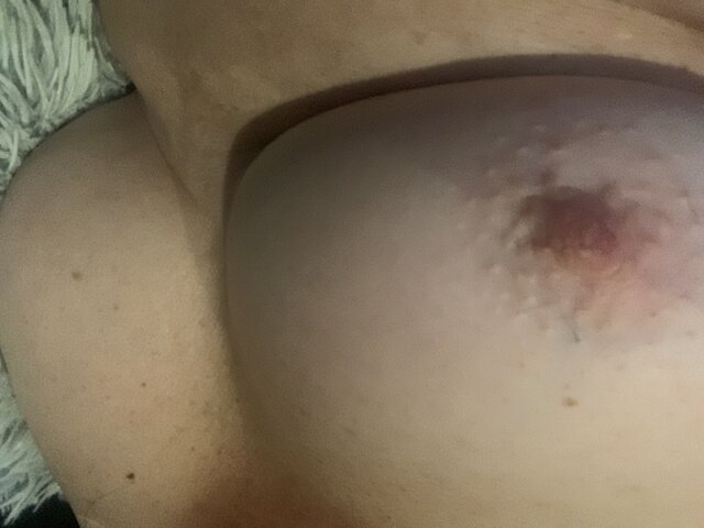 dorato6