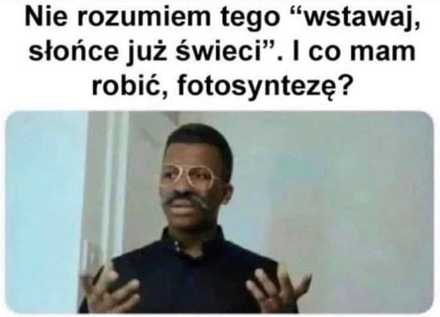mietowy_gin
