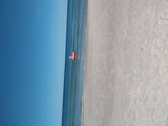 20240814_120207.jpg