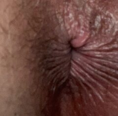 IMG_1539.jpg