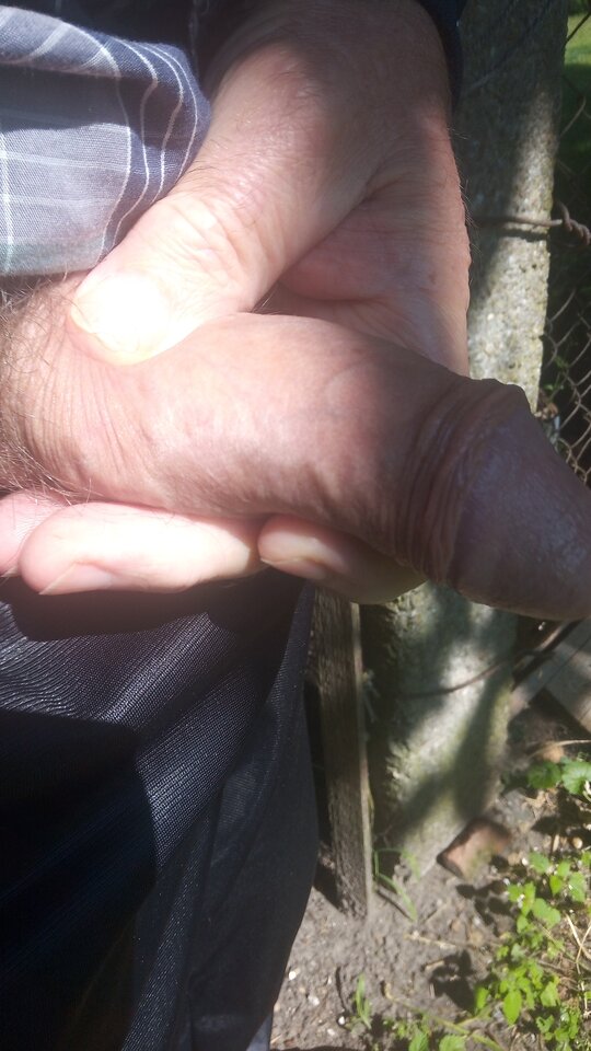 IMG-20240801-WA0032.jpeg - psotnymirek