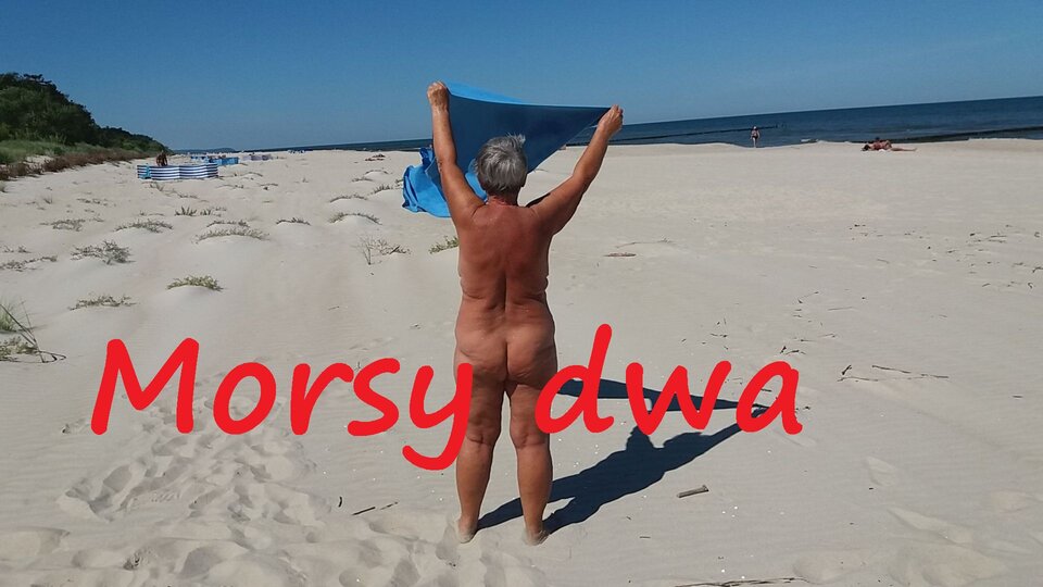 Z wiatrem w zawody. - Morsy_dwa