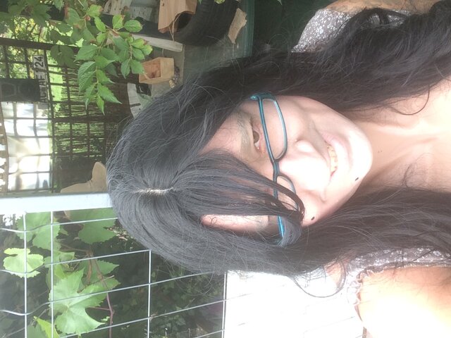 translolilita21