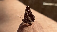 IMG_4358.jpeg