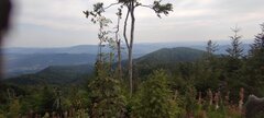IMG_20240815_091414.jpg