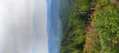 IMG_20240815_091406.jpg