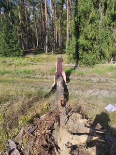 image000000003.jpg
