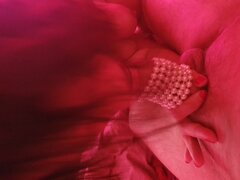 20240819_073102.jpg