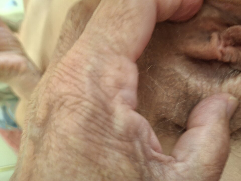 20240721_090932.jpg - Edek5407
