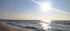 IMG_20240819_181906.jpg