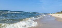 IMG_20240819_162947.jpg