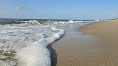 🏖️🌊☀️