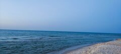IMG_20240820_203456.jpg