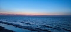 IMG_20240820_204959.jpg