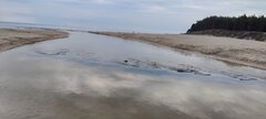 IMG_20240821_095333.jpg