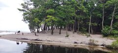 IMG_20240821_094903.jpg