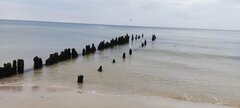 IMG_20240821_104505.jpg