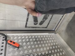 IMG_20240814_063418.jpg