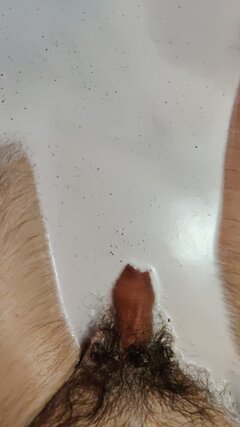 IMG-20240823-WA0015.jpeg