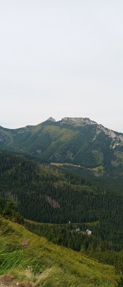 IMG_20240822_123336_4.jpg
