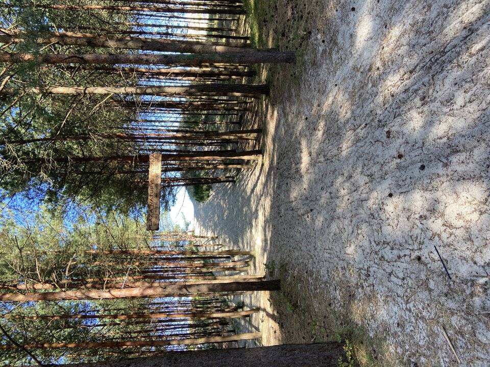 IMG_7529.jpeg - dic69