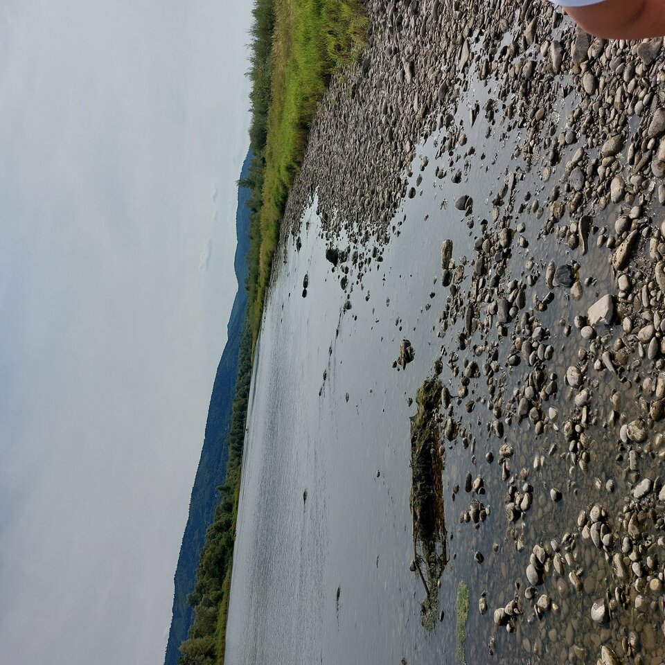 20240804_153638.jpg - Naturalniefajni