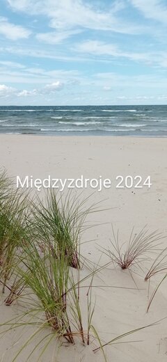 IMG_20240825_130613~2.jpg