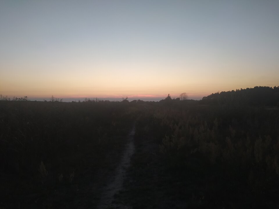 1724607834456925555970855979104.jpg - ptak362