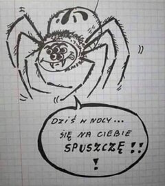 IMG_3291.jpeg