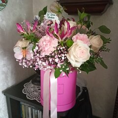IMG20240826131104.jpg