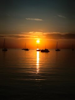 IMG-20240828-WA0006.jpg