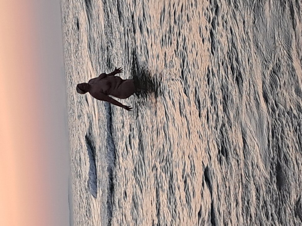1000123013.jpg - Sashanata