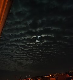 IMG_20240828_132458.jpg
