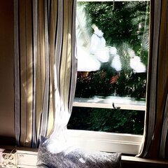 IMG_0318.jpeg