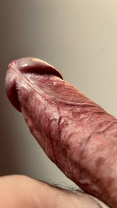 IMG_2193.jpeg