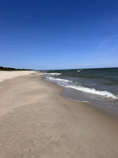 IMG_2221.jpeg