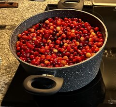 IMG_4400.jpeg