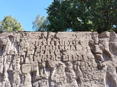 IMG_20240831_131114.jpg