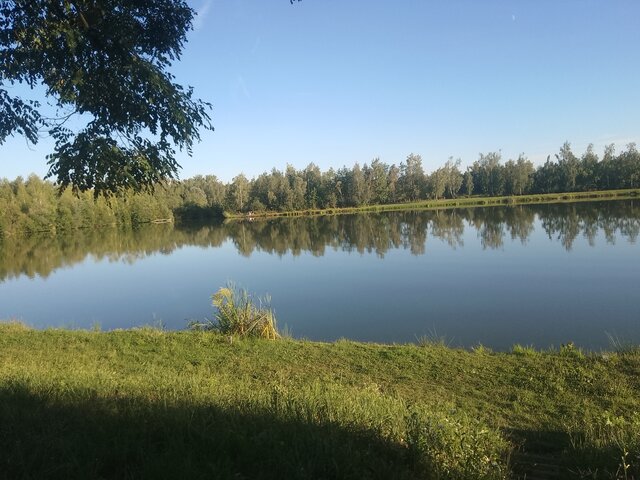cxxhetnysingiel85