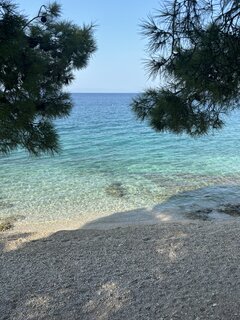 IMG_5087.jpeg