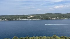 IMG_1115.jpeg