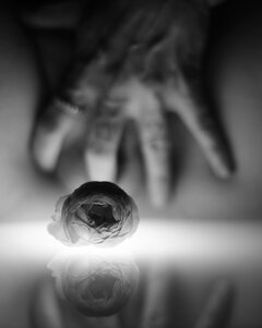 The Rose Bud.JPG