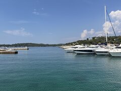 IMG_1133.jpeg