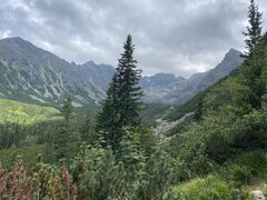 IMG_4252.jpeg