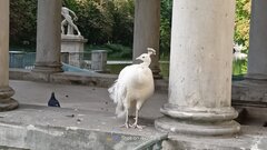 IMG20220904155636_01.jpg