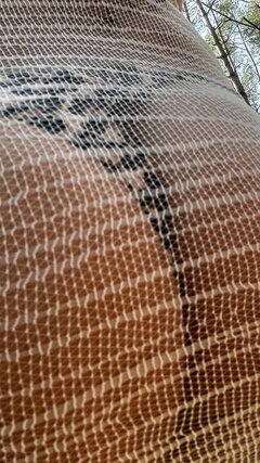 IMG_0834.jpeg